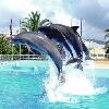 What are we doing today Kempinini Hotel Bahía Estepona